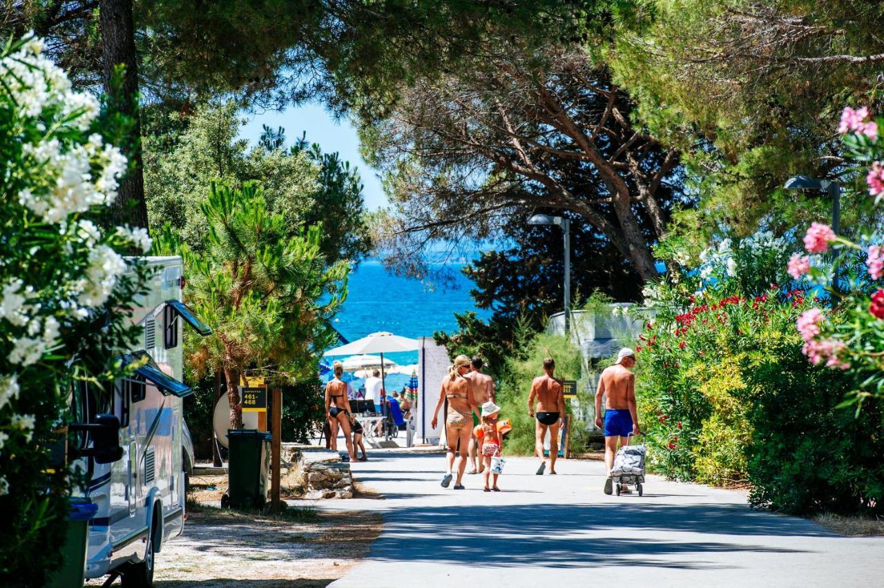 Salve Croatia Mobile Homes In Zaton Holiday Resort Εξωτερικό φωτογραφία